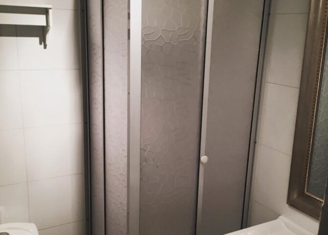 shower door 2